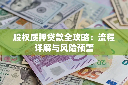 武汉股权质押贷款全攻略：流程详解与风险预警