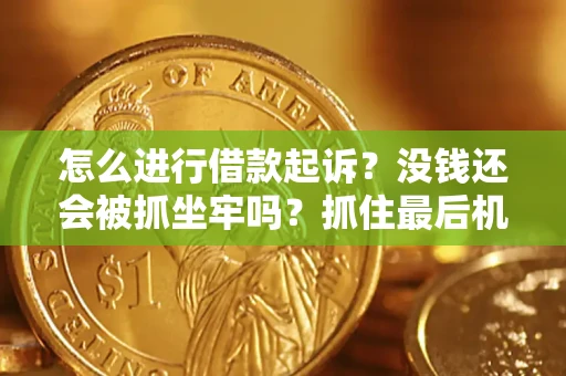 武汉怎么进行借款起诉？没钱还会被抓坐牢吗？抓住最后机会！