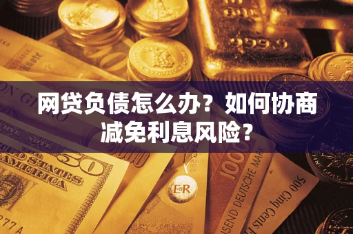武汉网贷负债怎么办？如何协商减免利息风险？