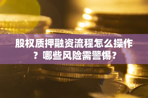 武汉股权质押融资流程怎么操作？哪些风险需警惕？