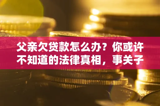 武汉父亲欠贷款怎么办？你或许不知道的法律真相，事关子女未来