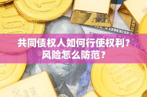 武汉共同债权人如何行使权利？风险怎么防范？