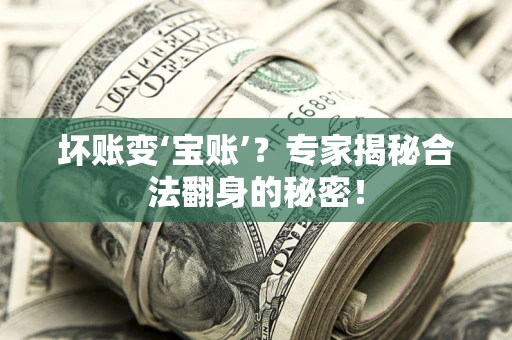 武汉坏账变‘宝账’？专家揭秘合法翻身的秘密！
