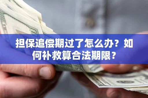 武汉担保追偿期过了怎么办？如何补救算合法期限？
