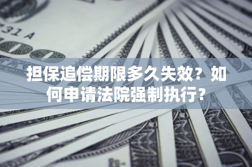 武汉担保追偿期限多久失效？如何申请法院强制执行？
