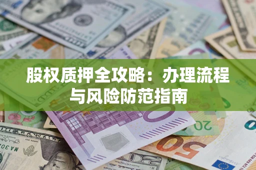 武汉股权质押全攻略：办理流程与风险防范指南