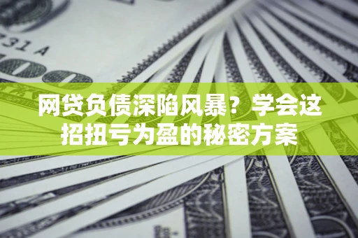 武汉网贷负债深陷风暴？学会这招扭亏为盈的秘密方案