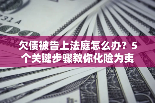 武汉欠债被告上法庭怎么办？5个关键步骤教你化险为夷