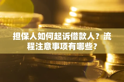 武汉担保人如何起诉借款人？流程注意事项有哪些？